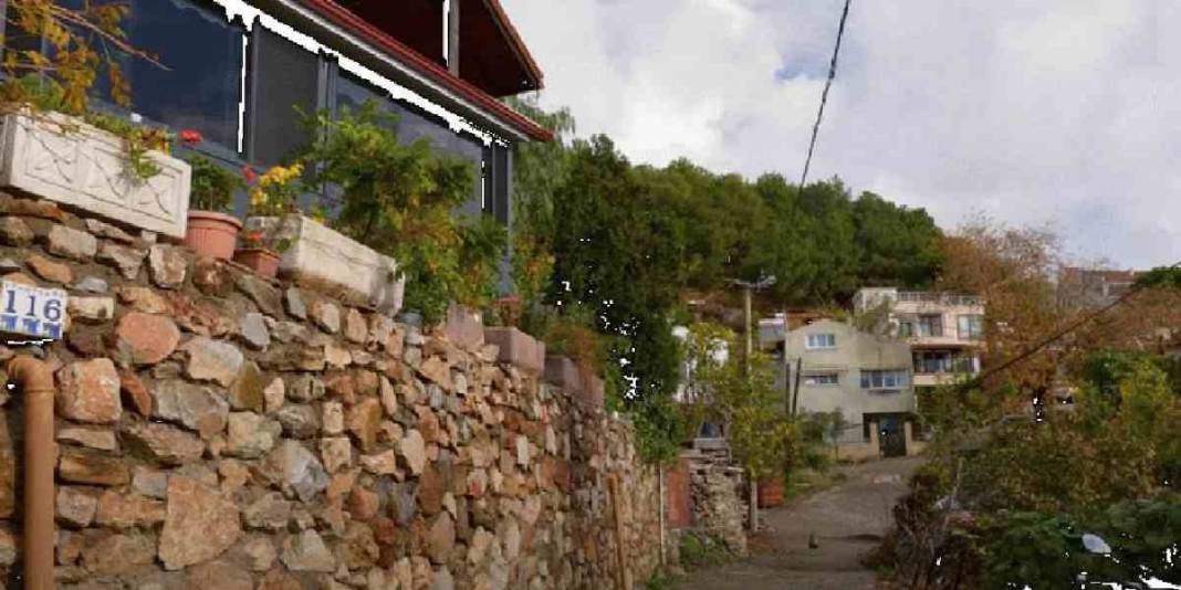 Bir yanında deniz bir yanında orman! Dünyanın gizli kalmış cenneti: Emeklilik hayali kuranların aradığı adres 2